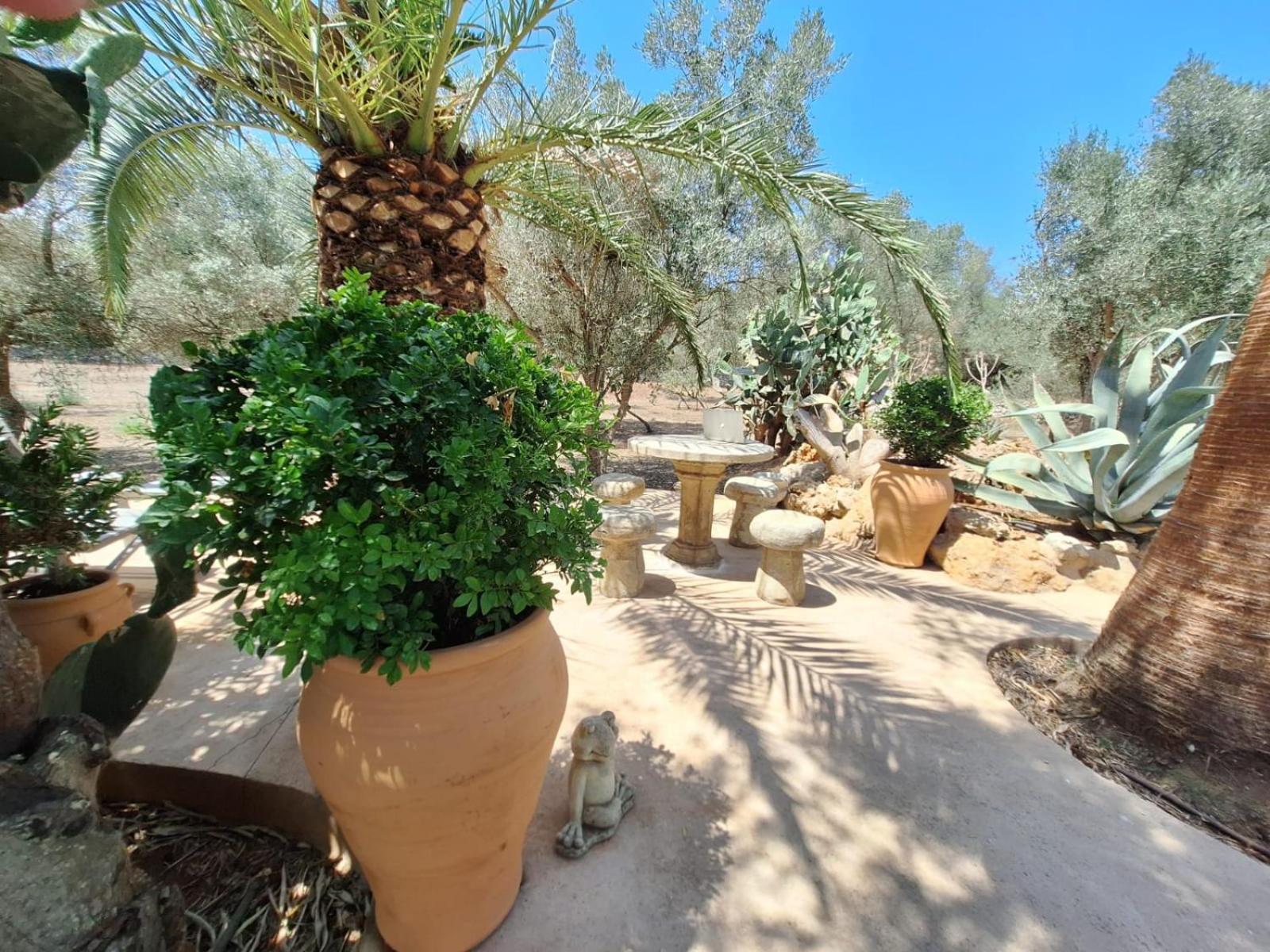 Vakantiehuis Redonda 1 Costitx (Mallorca)