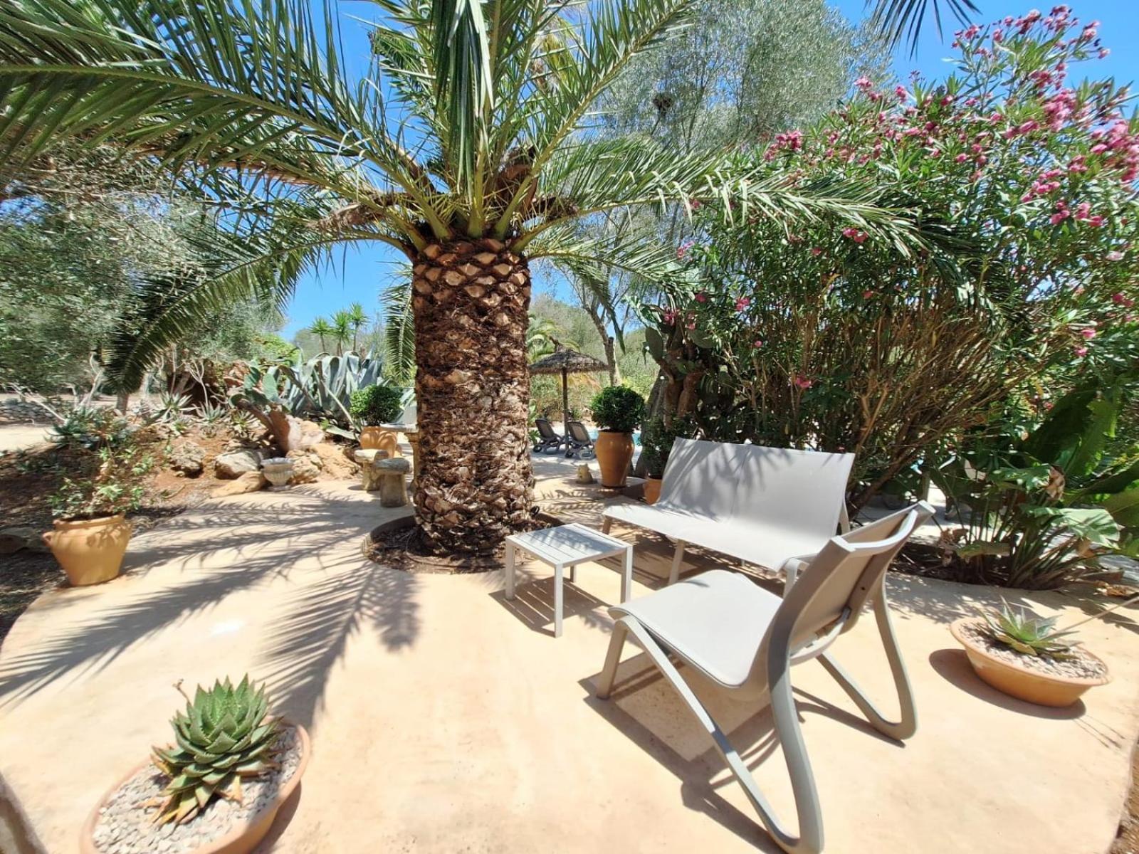 Redonda 1 Vakantiehuis *
