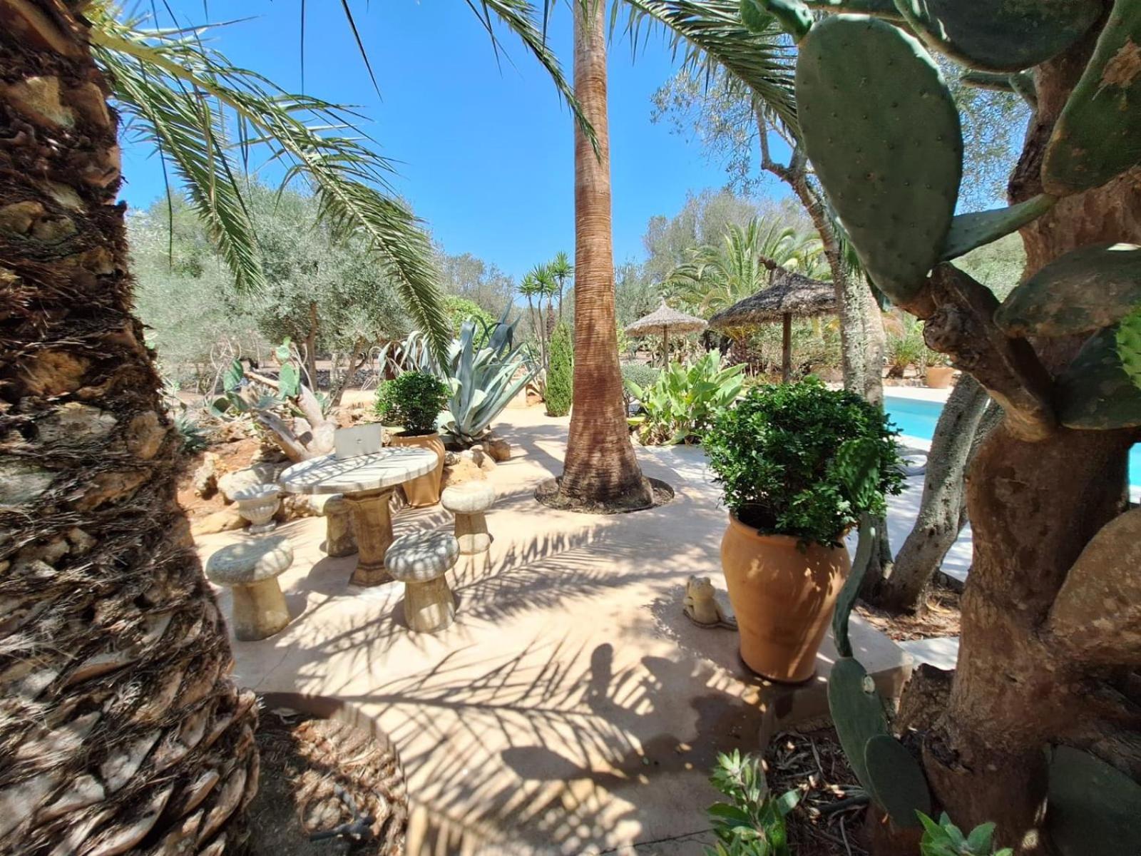 Hébergement de vacances Redonda 1 Costitx (Mallorca)